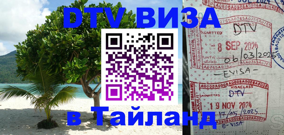 Оформление DTV визы под ключ: стоимость и тарифы, только загранпаспорт - 20.11.2025 